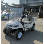 2 Seater Electric Cargo Car