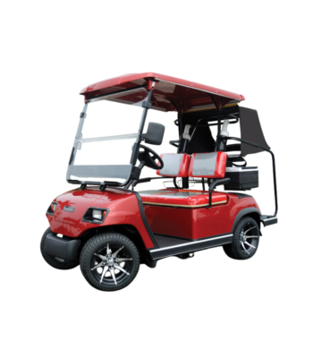 2-Seater Electric Sightseeing Car