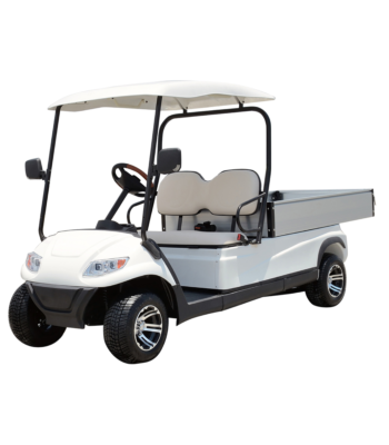 A617 Electric Cargo Car