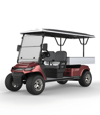 Customized small utility vehicle