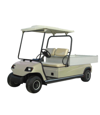 Electric Cargo Car