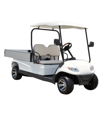 Electric Cargo Car ARL617