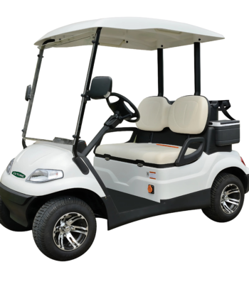 Electric Golf Car 2-Seater