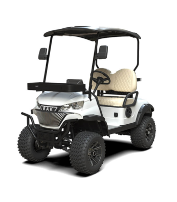 2 seater premium golf cart ARL-K-H2