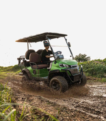 4 seater premium golf cart ARL-K-H2+2