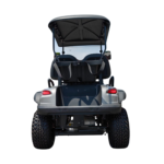 Eco Friendly 2 seater golf cart ARL-G-H2