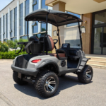 Eco Friendly 2 seater golf cart ARL-G-H2