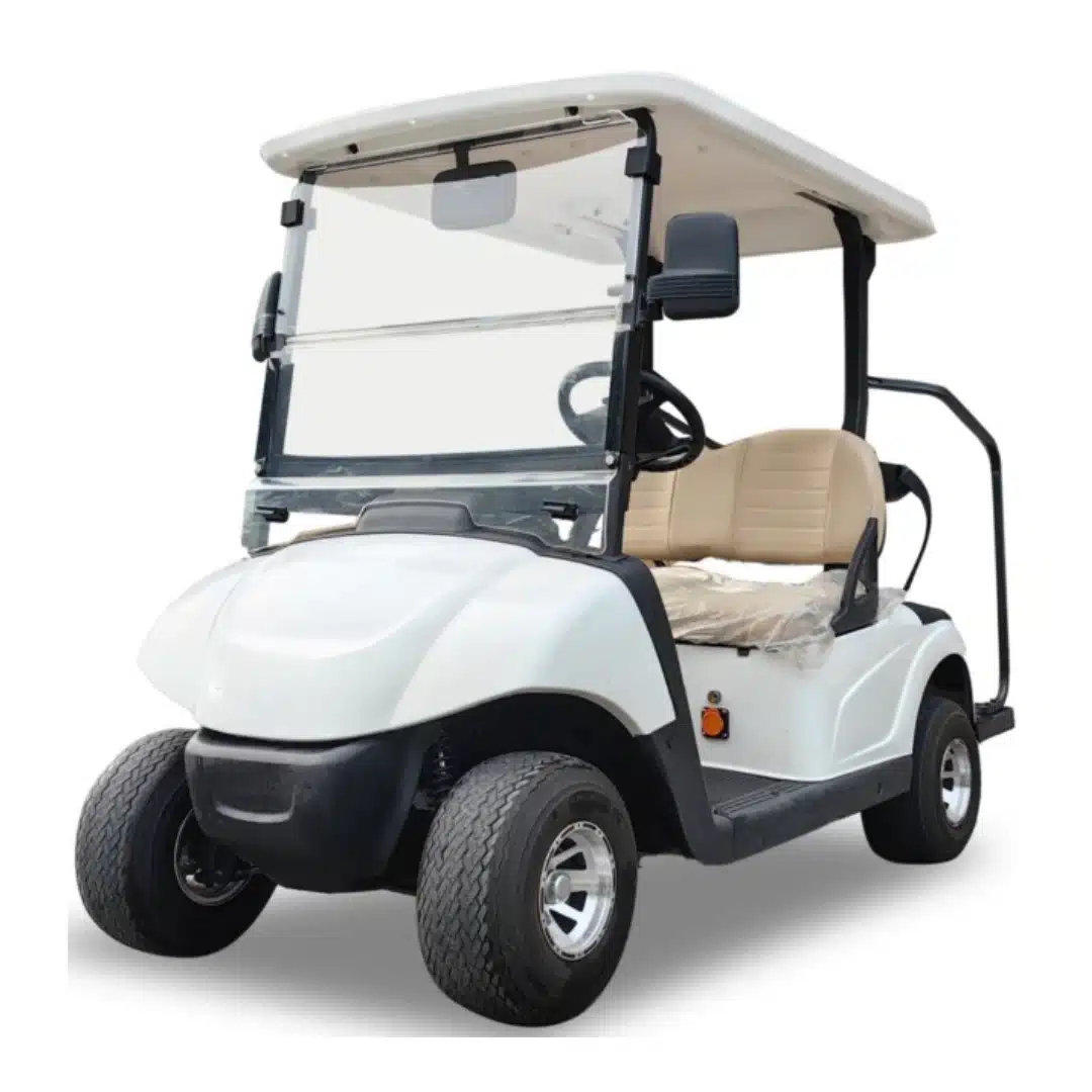 compact and stylish 2-seater golf cart ARL-A-C2