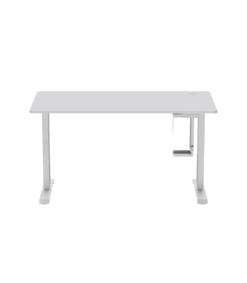 Electric Standing Desk ARL Pro Series White Wood