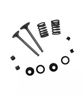 Intake & Outlet Valve With Accessory