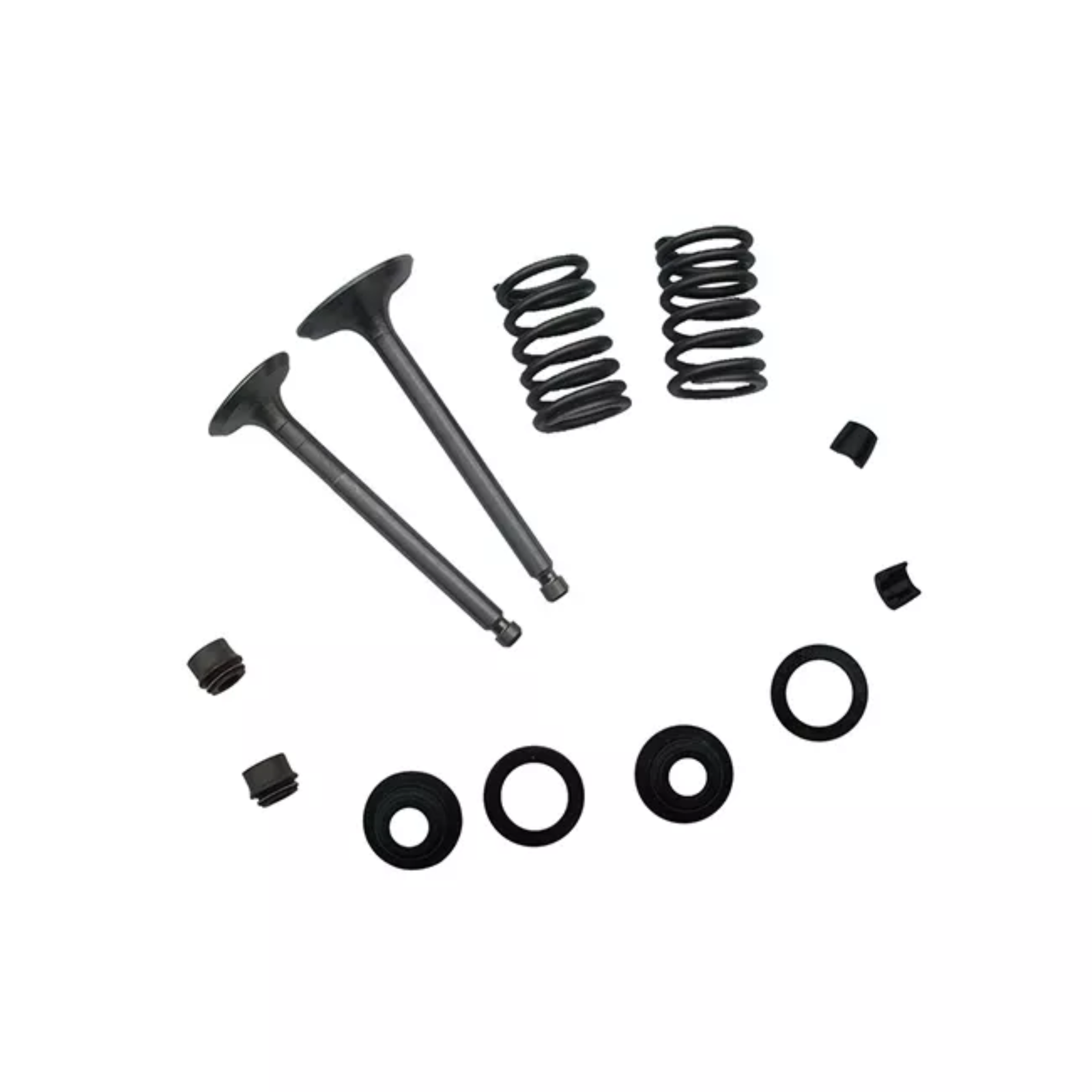 Intake & Outlet Valve With Accessory