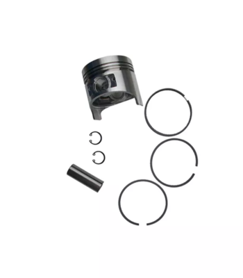 Piston Assembly