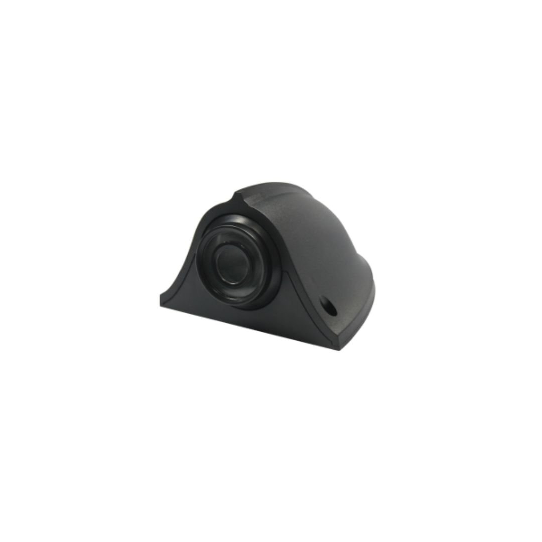 Wide Viewing Camera for Side View