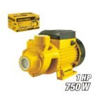 220V Peripheral Pump with Brass Impeller Model ARL-PPROO1
