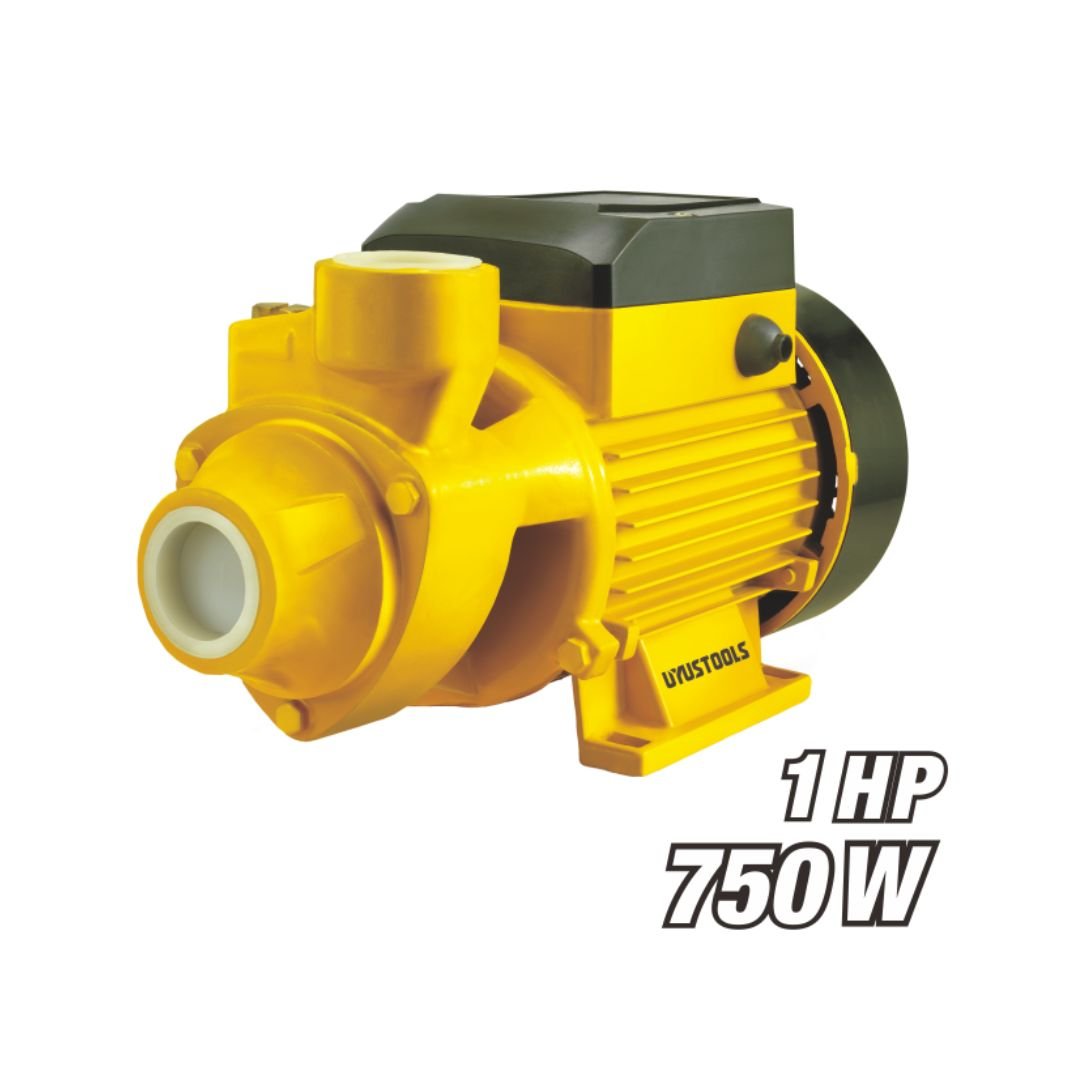 220V Peripheral Pump with Brass Impeller Model ARL-PPROO1