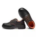 Industrial Safety Shoes ARL-RB1020L