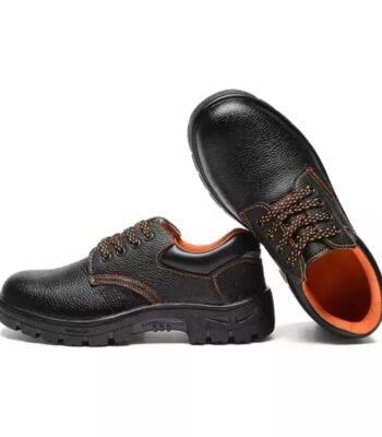 Industrial Safety Shoes ARL-RB1020L