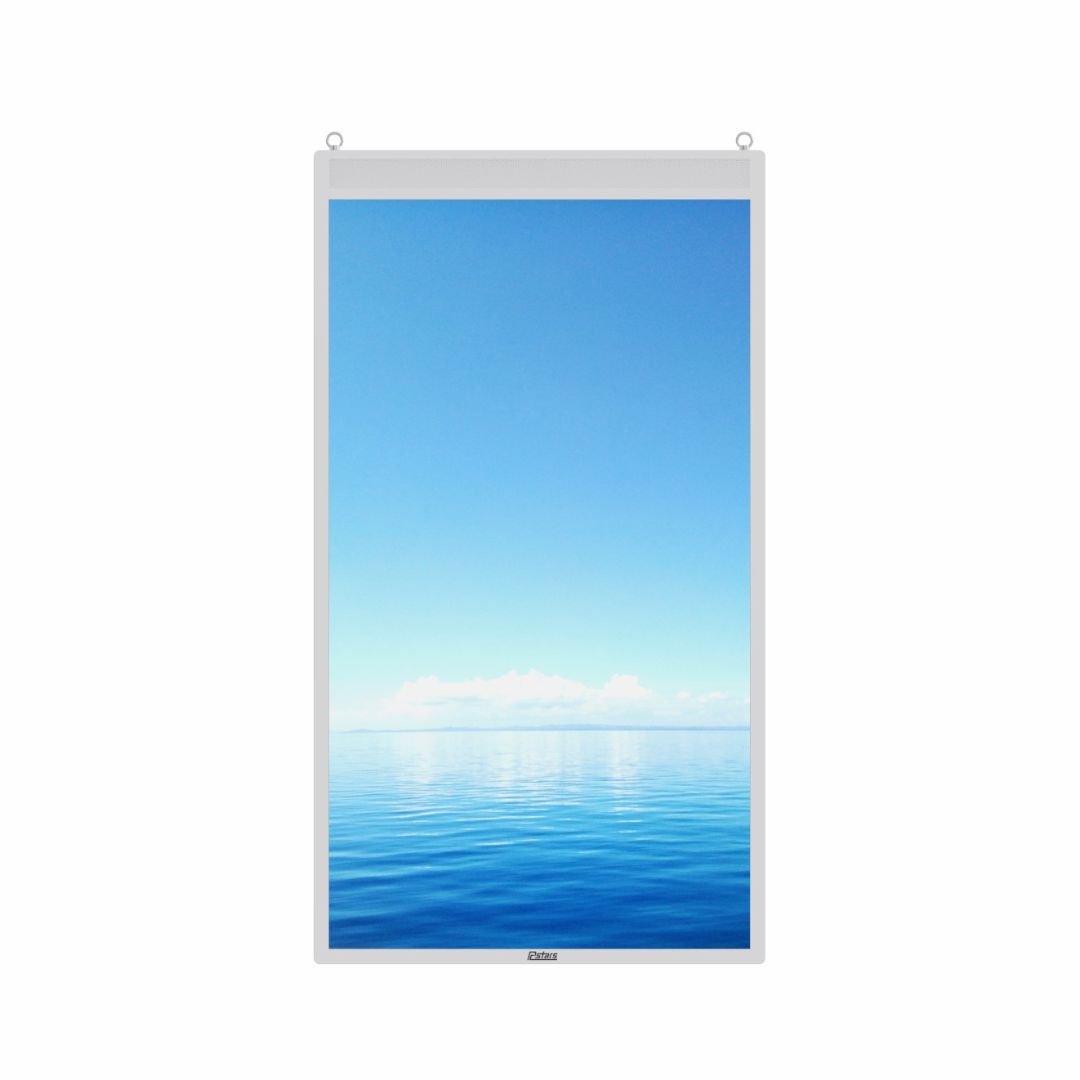 Double Sided Hanging Digital Window Display 43 inch