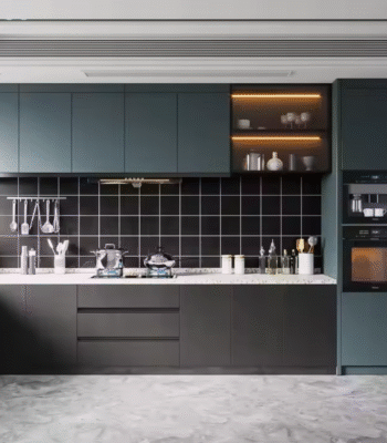 Edna Collection Modern Black Kitchen Cabinets