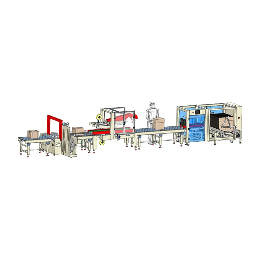 Auto. Case Packing Line ARL-APL-CSS02