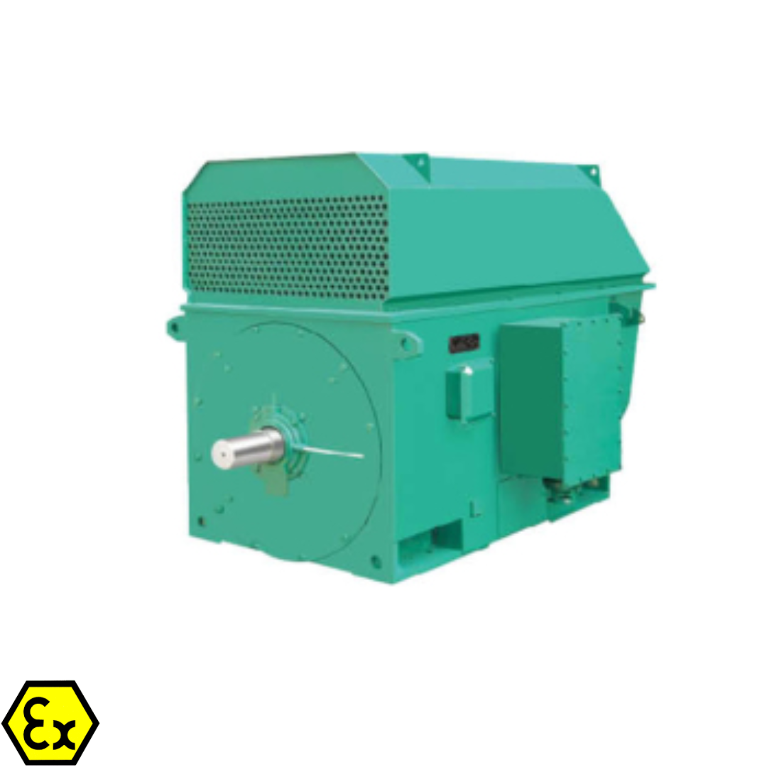 6KV/10KV Three-Phase Asynchronous Motor ARL- YKK Series