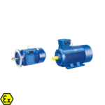 High Efficiency Three-Phase Asynchronous Motor-ARL-YE3 Series