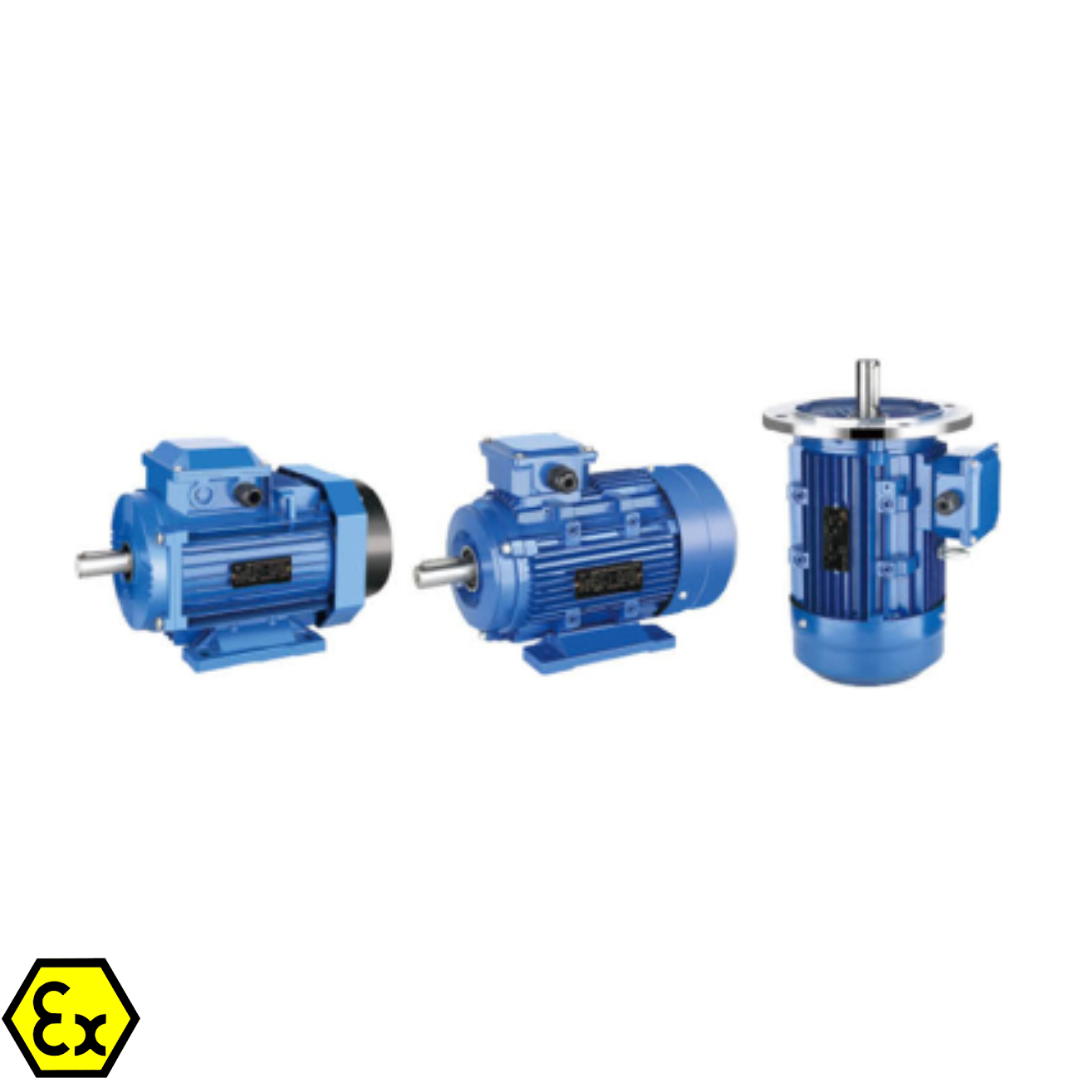 MS Series Aluminum Shell High Efficiency Three-Phase Asynchronous Motor – ARL-MS