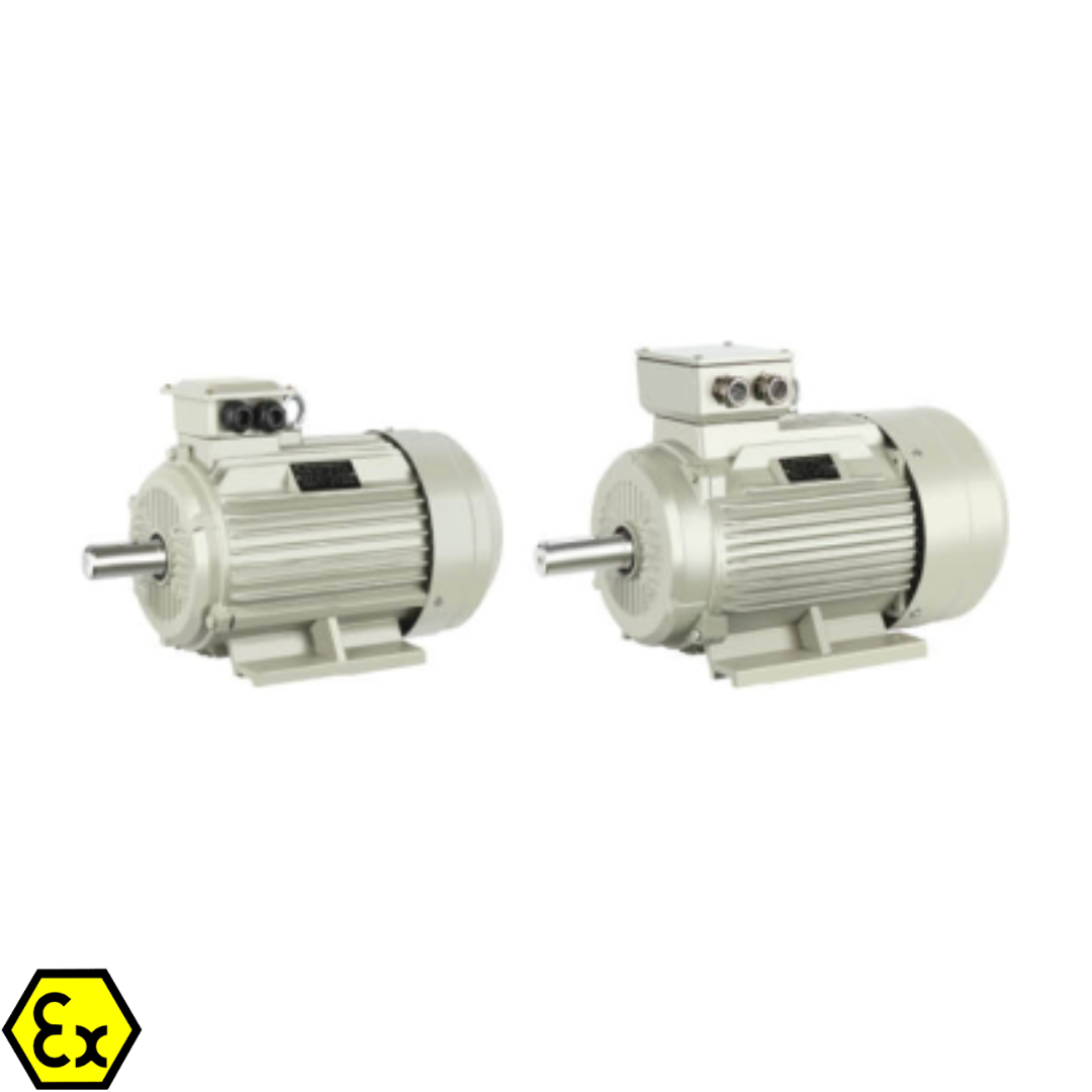 Pole-Changing Multi-Speed Three-Phase Asynchronous Electric Motor – ARL-YD Series