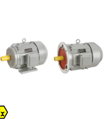 Pole-Changing Multi-Speed Three-Phase Asynchronous Electric Motor – ARL-YDT Series