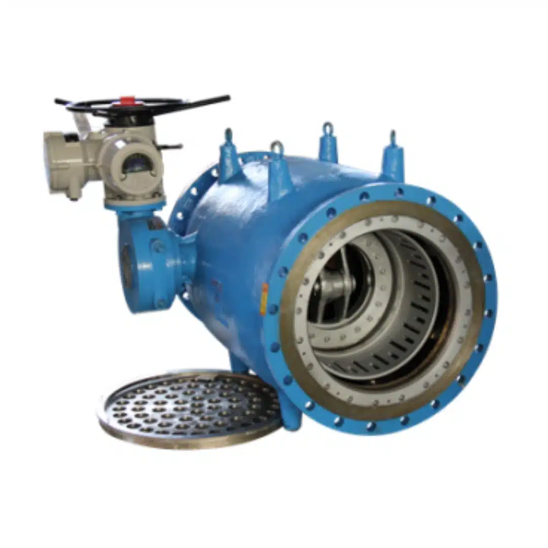 Electric Plunger valve