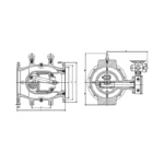 Electric Plunger valve