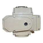 Electric actuator