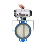 Inflatable Seated Butterfly Valves