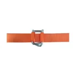 Wire Buckles
