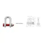 US Type High Tensile Forged Shackle G2150