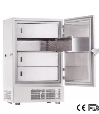 Economical -40°C Upright Freezer