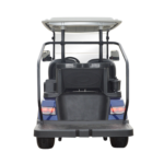 New Model Golf Cart 2 Seaters