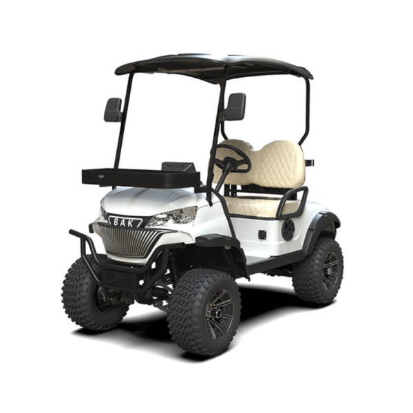 2 seater premium golf cart ARL-K-H2