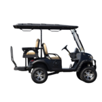 4-seater golf cart ARL-G-H2+2