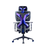 Standard Edition Galaxy Gaming Chair ARL-GRX6