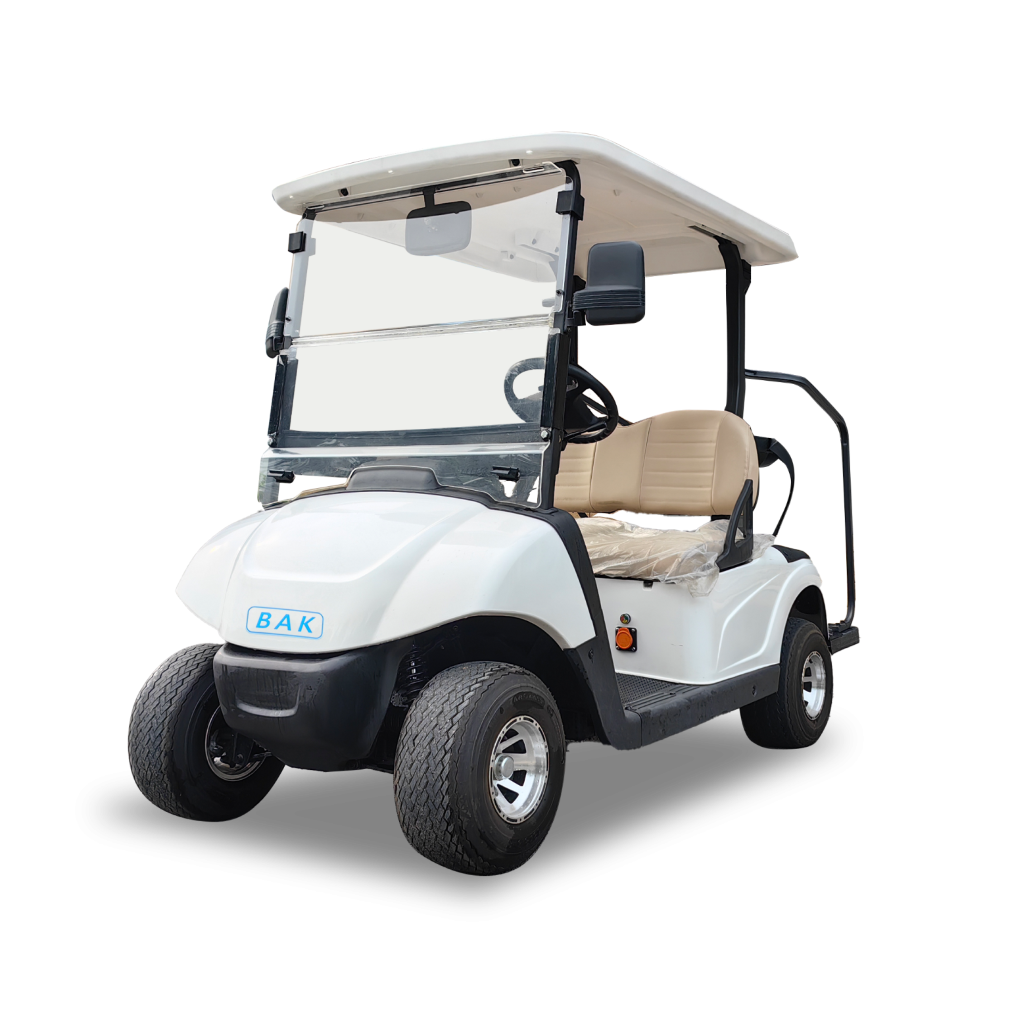 compact and stylish 2-seater golf cart ARL-A-C2