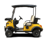 luxurious 2-seater golf cart ARL-G-C2