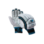 Premium Batsman Gloves