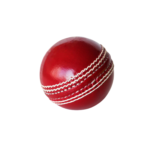 Premium cricket Ball