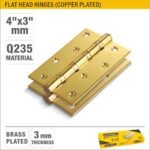 Flat Head Hinges (Copper Plated) ARL-BI325DD