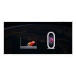 OLED Transparent Signage 55 inch