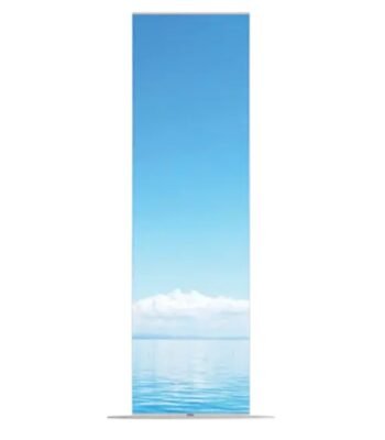 OLED Flexible Screen Signage 55 inch