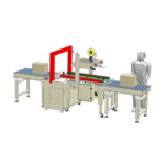 Case Sealing & Strapping Line ARL-APL-CSS05H