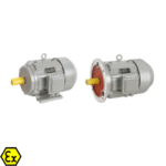 Pole-Changing Multi-Speed Three-Phase Asynchronous Electric Motor – ARL-YDT Series